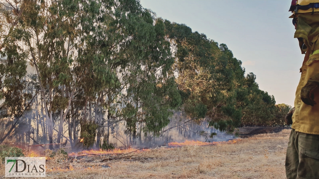 Controlado el incendio forestal cercano a Alvarado (Badajoz)