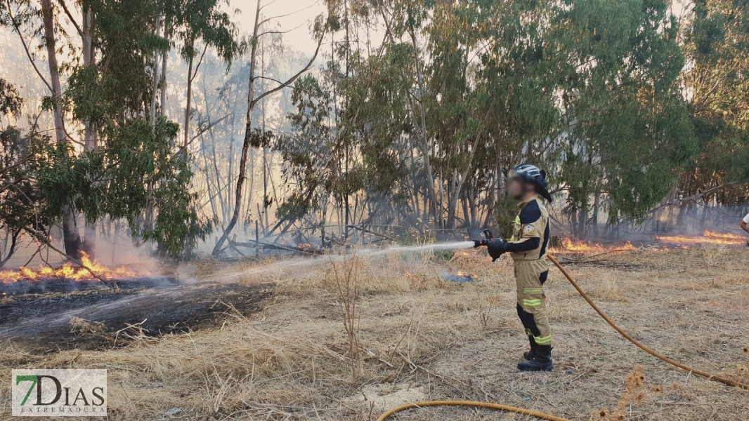 Controlado el incendio forestal cercano a Alvarado (Badajoz)
