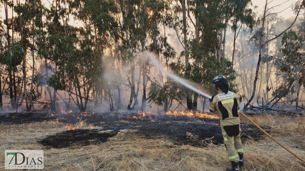 Controlado el incendio forestal cercano a Alvarado (Badajoz)