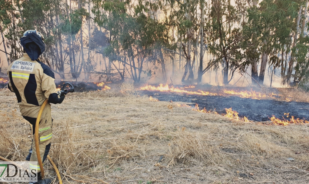 Controlado el incendio forestal cercano a Alvarado (Badajoz)