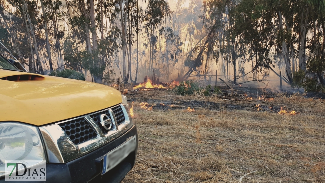 Controlado el incendio forestal cercano a Alvarado (Badajoz)