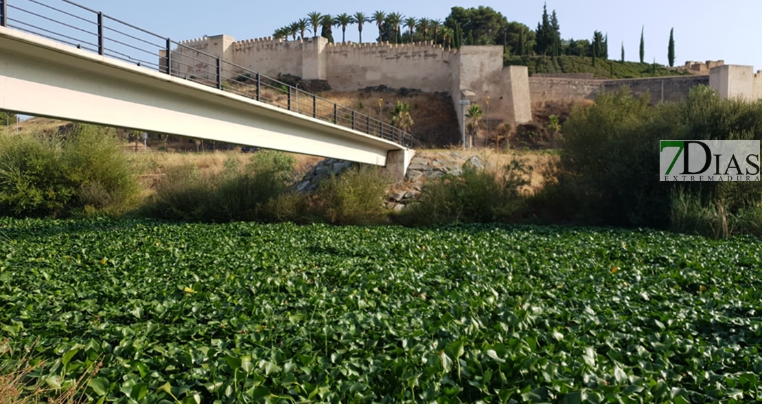 El Gobierno rectifica y la UME intervendrá en el camalote