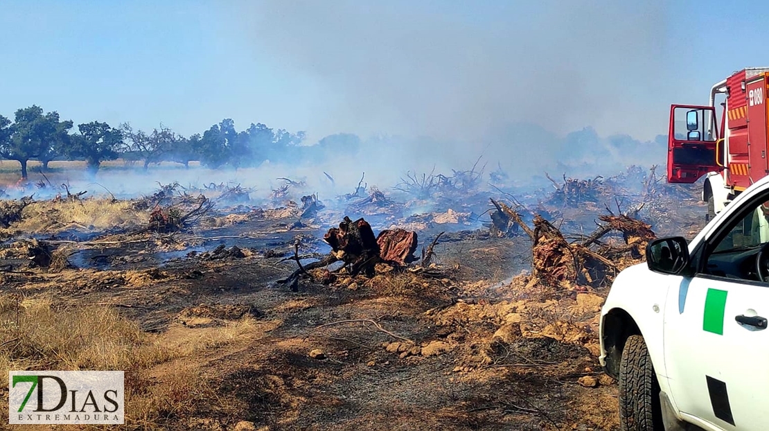 Grave incendio forestal en el COI (Valdebotoa)