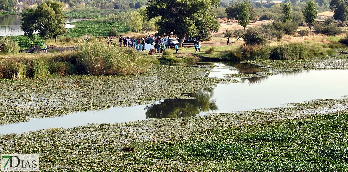 Colectivos, políticos y ciudadanos piden un río Guadiana sin camalote