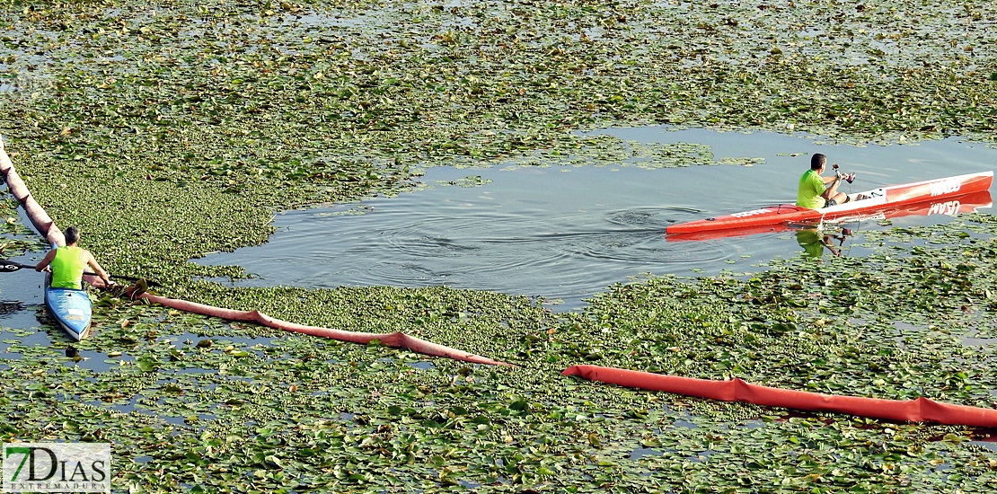 Colectivos, políticos y ciudadanos piden un río Guadiana sin camalote