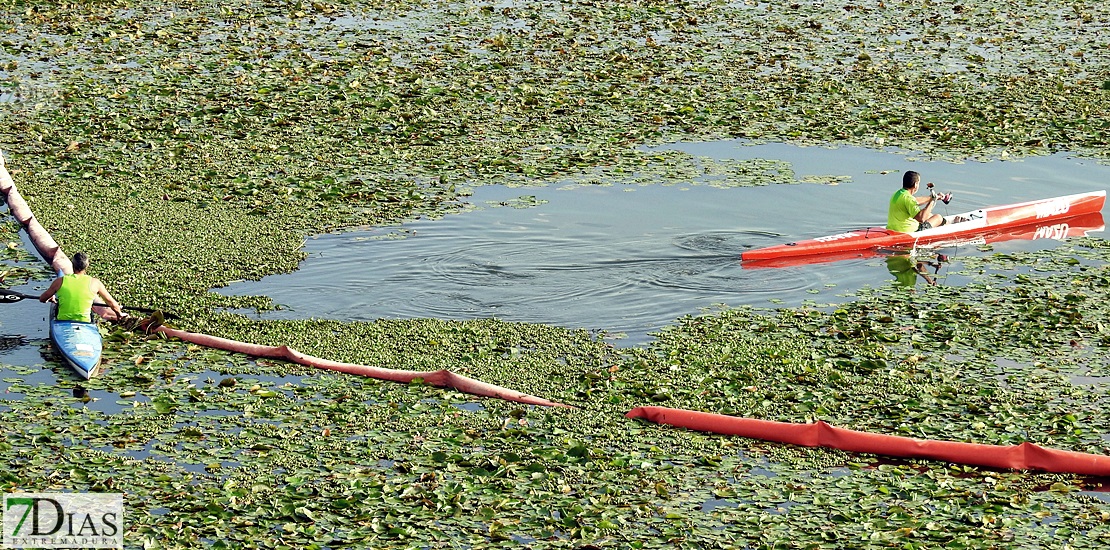 Colectivos, políticos y ciudadanos piden un río Guadiana sin camalote