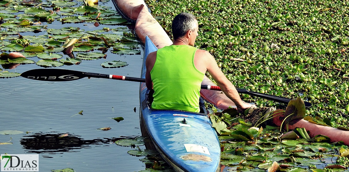 Colectivos, políticos y ciudadanos piden un río Guadiana sin camalote