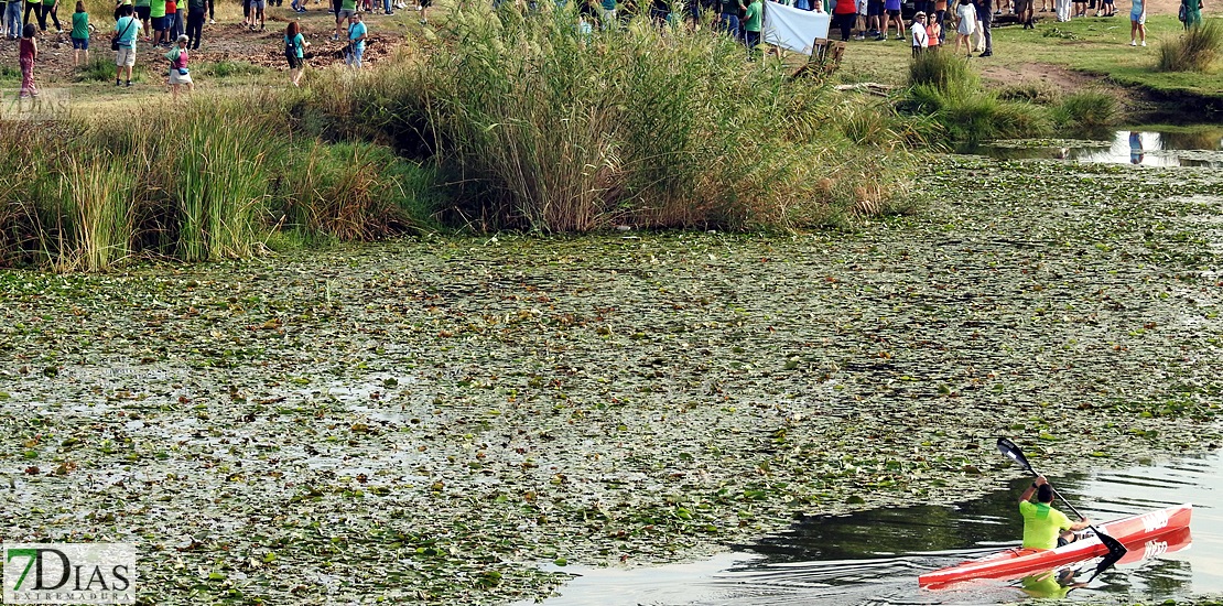 Colectivos, políticos y ciudadanos piden un río Guadiana sin camalote