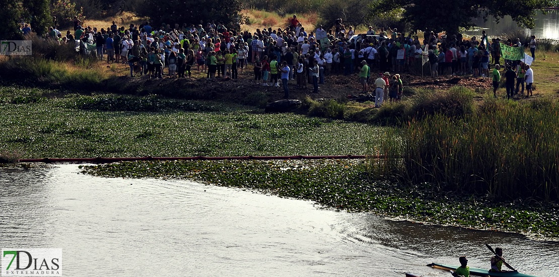 Colectivos, políticos y ciudadanos piden un río Guadiana sin camalote