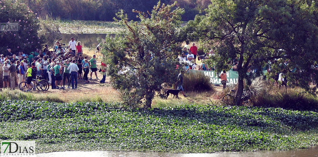 Colectivos, políticos y ciudadanos piden un río Guadiana sin camalote