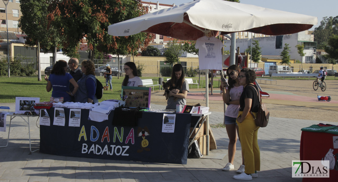 Imágenes de la Corredog 2018 I