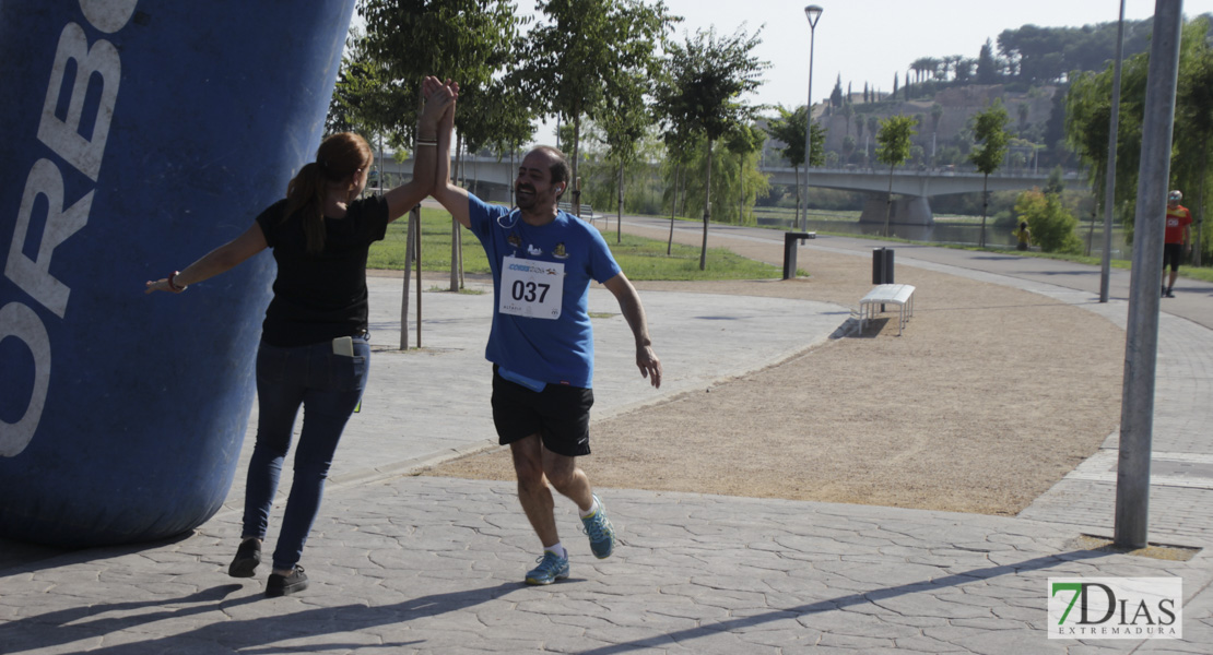 Imágenes de la Corredog 2018 I