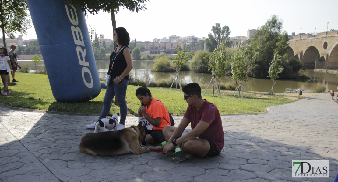 Imágenes de la Corredog 2018 I