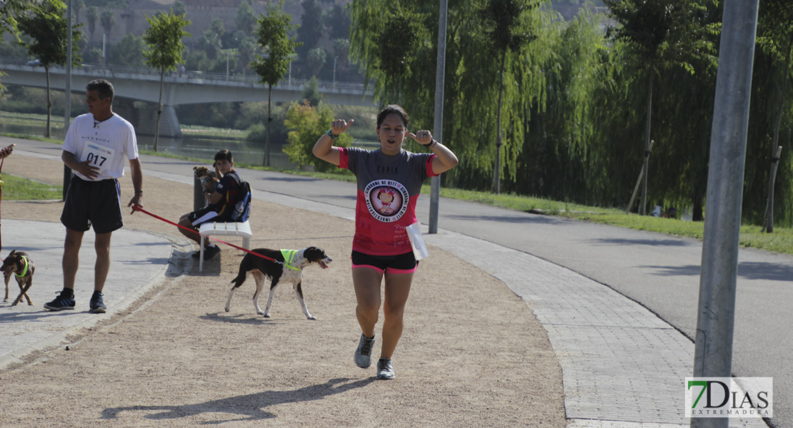 Imágenes de la Corredog 2018 I