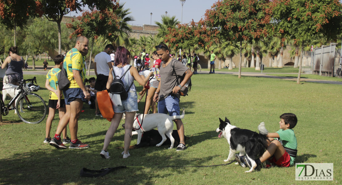 Imágenes de la Corredog 2018 II