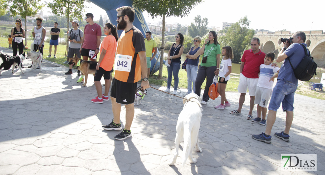 Imágenes de la Corredog 2018 II