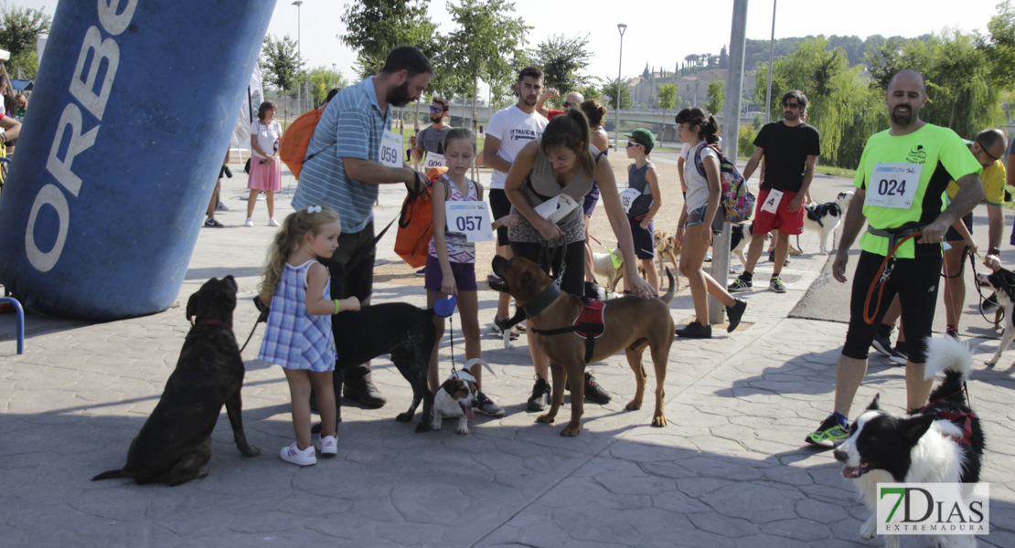 Imágenes de la Corredog 2018 II