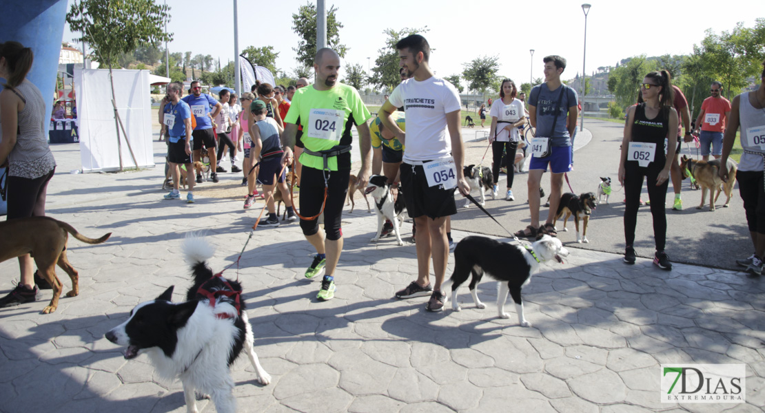 Imágenes de la Corredog 2018 II