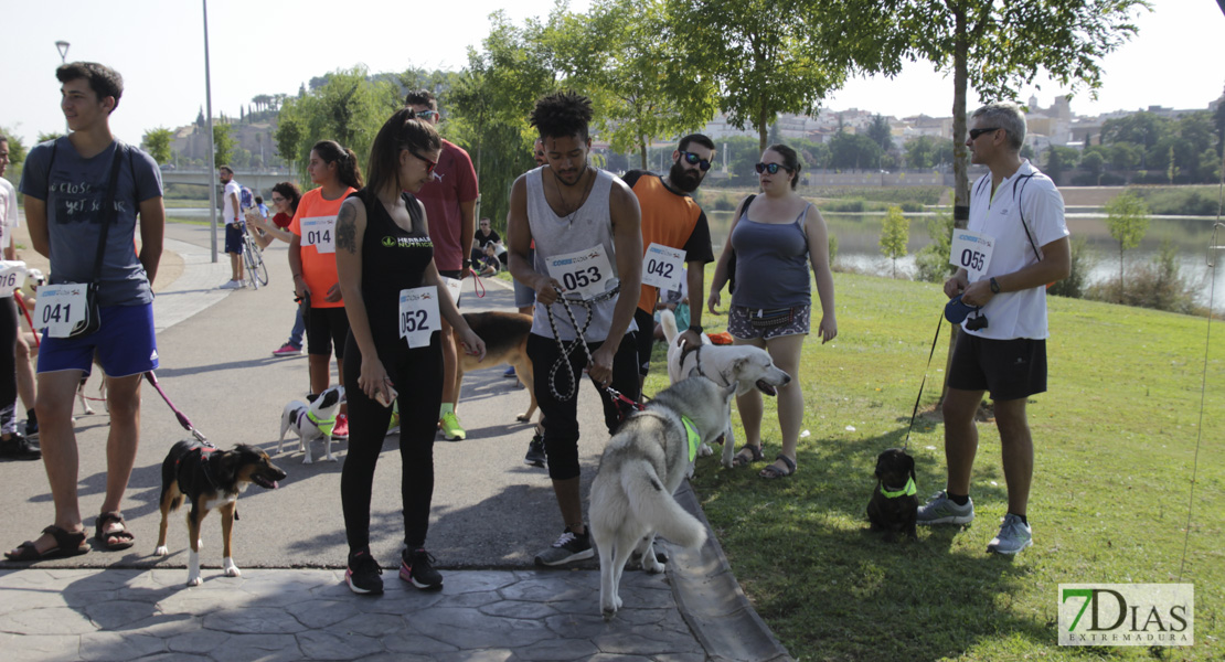 Imágenes de la Corredog 2018 II