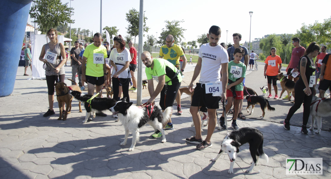 Imágenes de la Corredog 2018 II