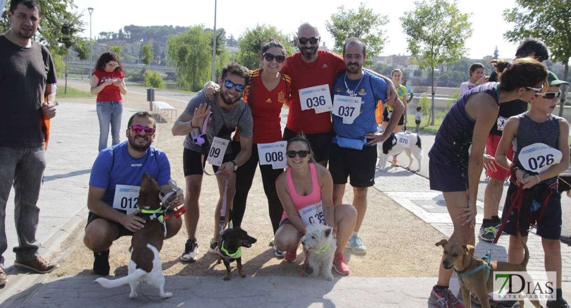 Imágenes de la Corredog 2018 II