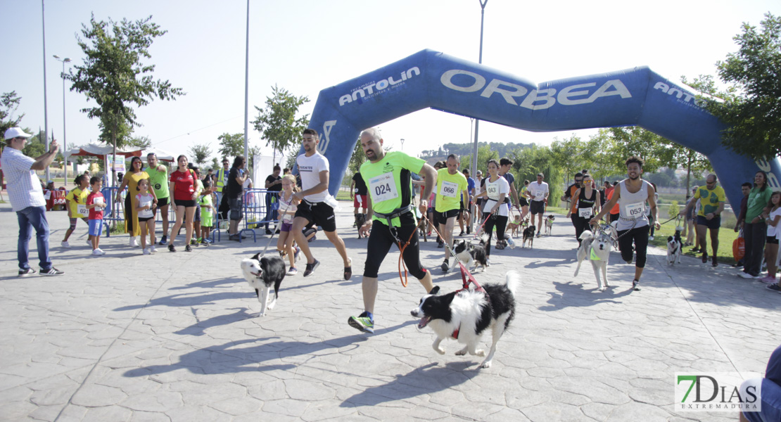 Imágenes de la Corredog 2018 II