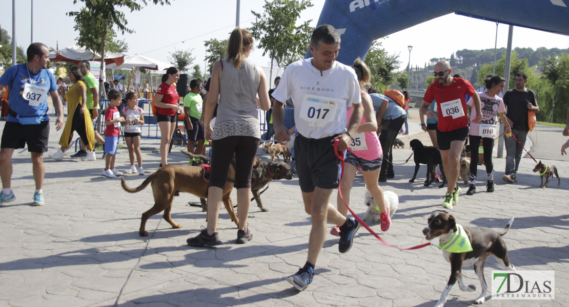 Imágenes de la Corredog 2018 II