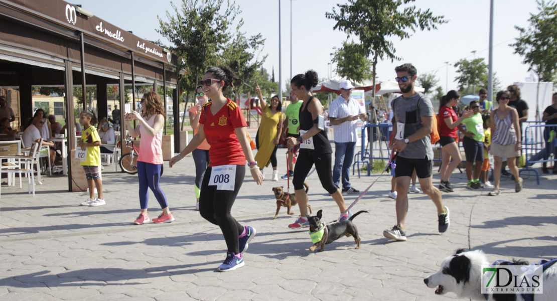 Imágenes de la Corredog 2018 II