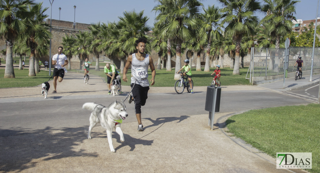 Imágenes de la Corredog 2018 II