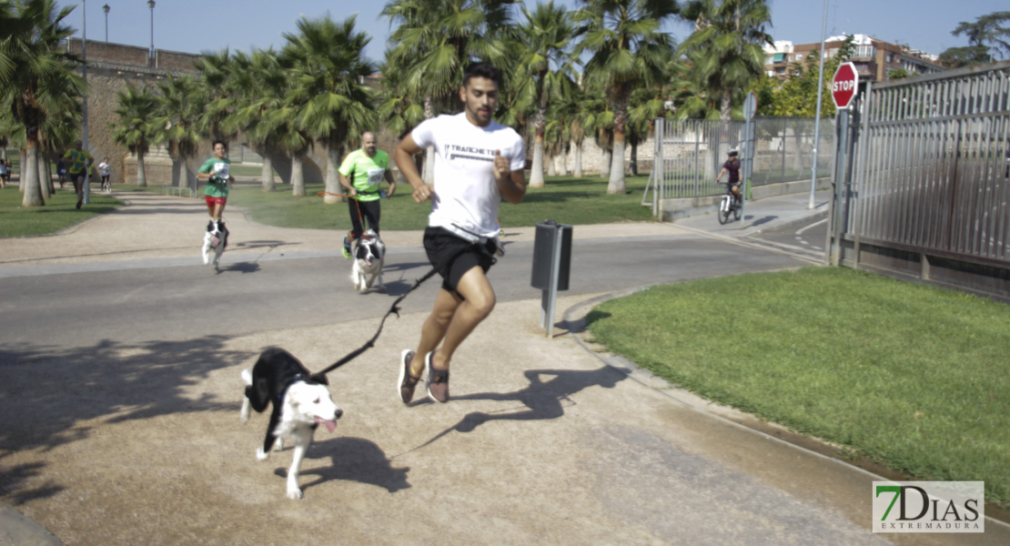 Imágenes de la Corredog 2018 II