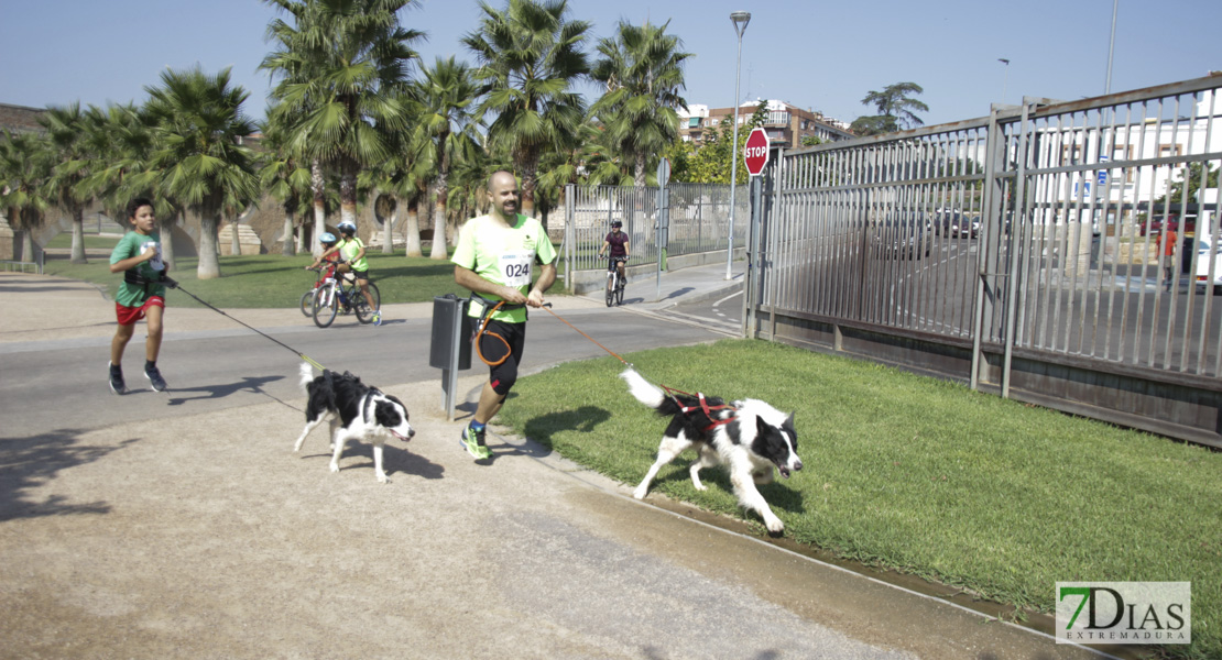 Imágenes de la Corredog 2018 II