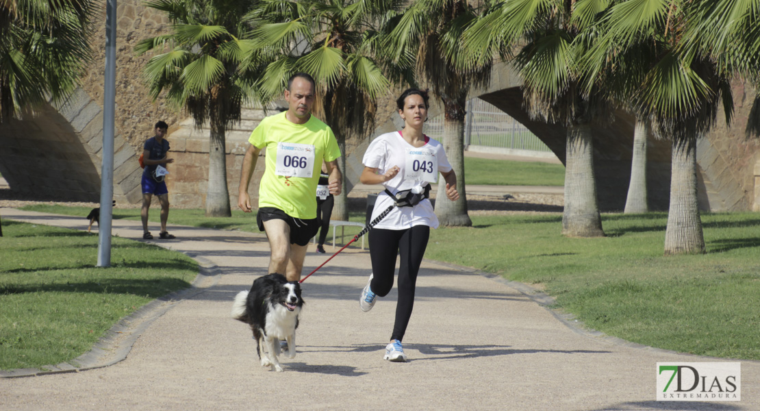 Imágenes de la Corredog 2018 II