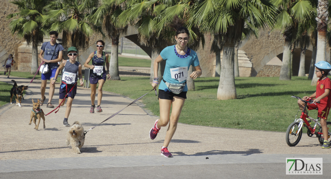 Imágenes de la Corredog 2018 II