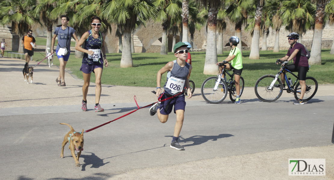 Imágenes de la Corredog 2018 II