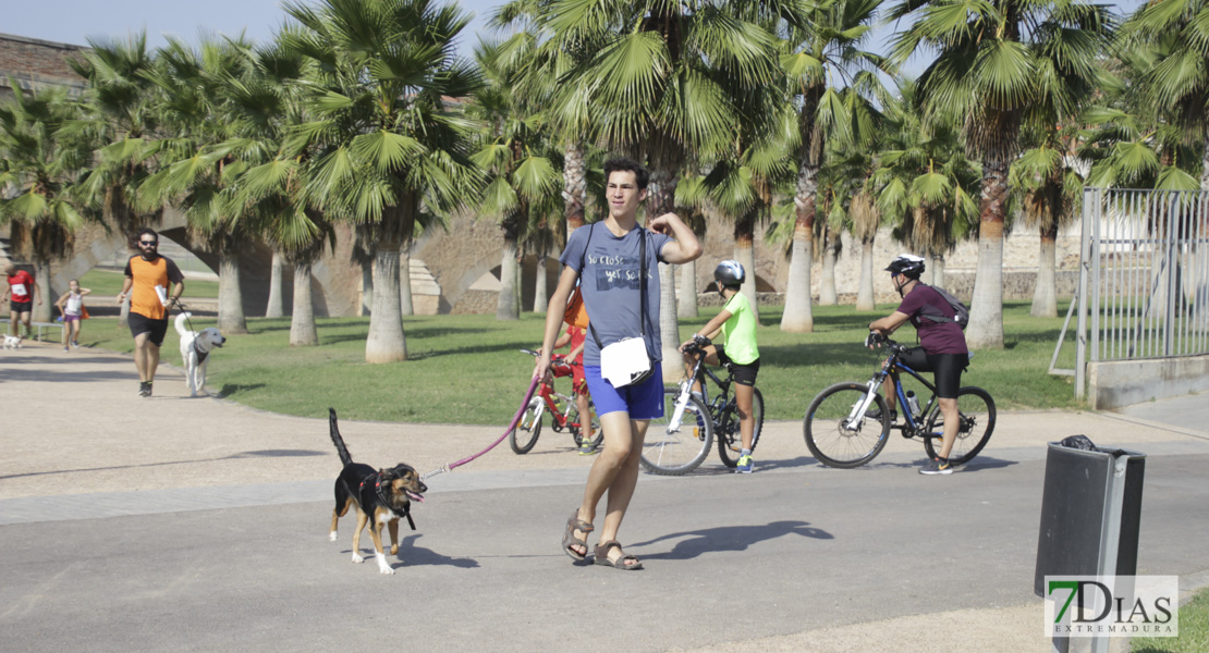 Imágenes de la Corredog 2018 II