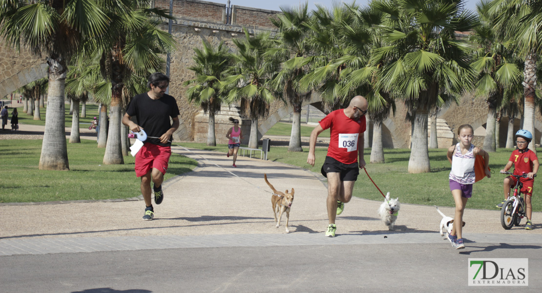 Imágenes de la Corredog 2018 II