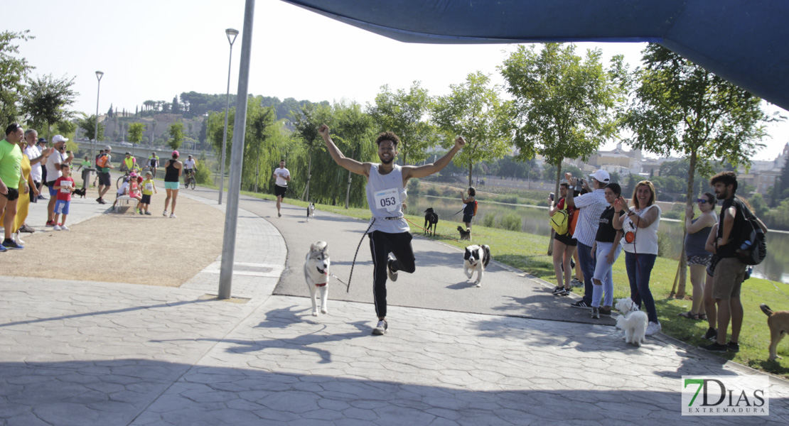 Imágenes de la Corredog 2018 II