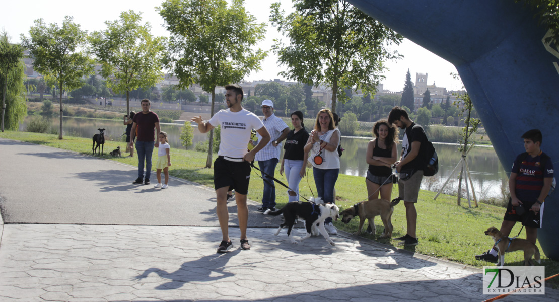 Imágenes de la Corredog 2018 II