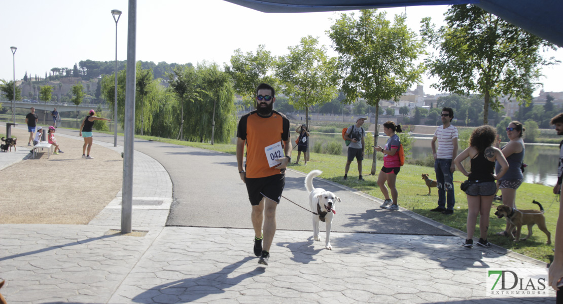 Imágenes de la Corredog 2018 II