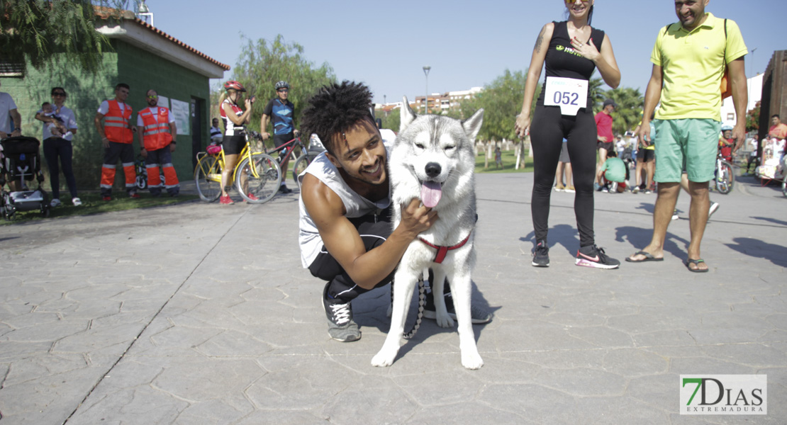 Imágenes de la Corredog 2018 II