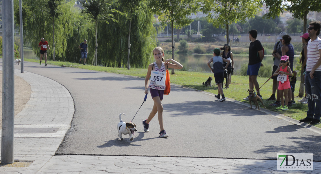 Imágenes de la Corredog 2018 II