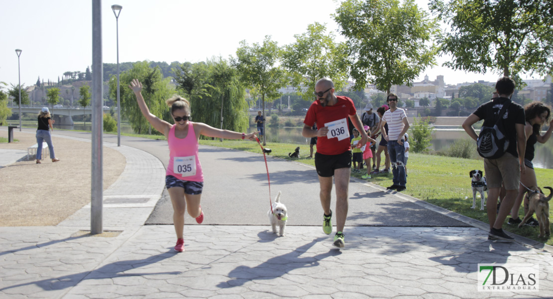 Imágenes de la Corredog 2018 II