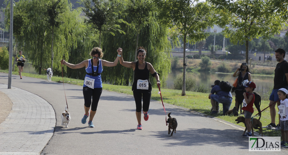 Imágenes de la Corredog 2018 II