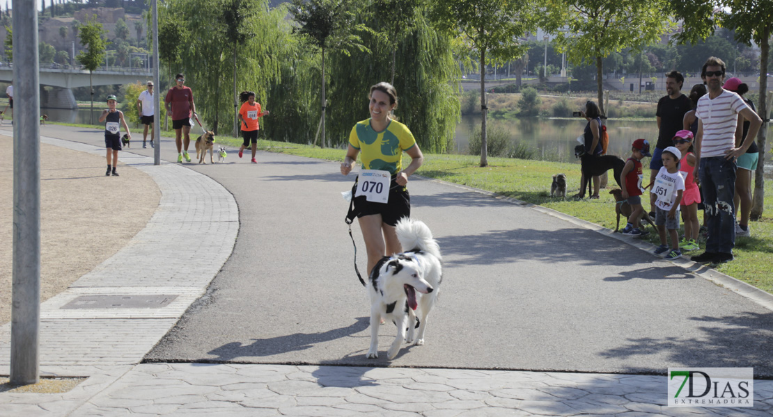 Imágenes de la Corredog 2018 II