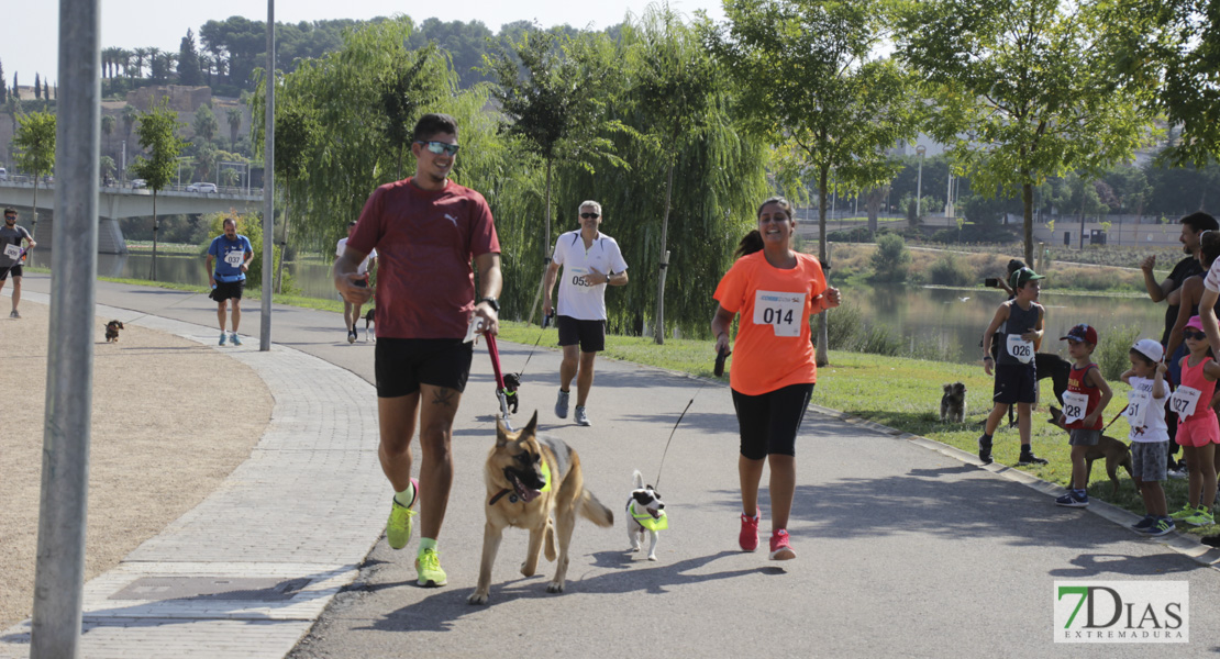 Imágenes de la Corredog 2018 II