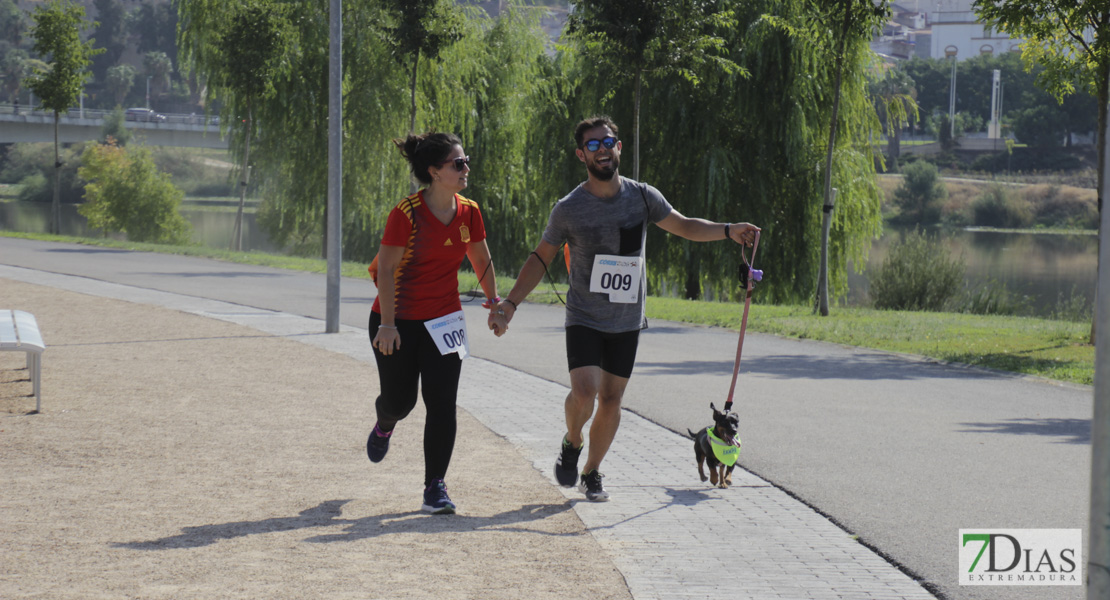 Imágenes de la Corredog 2018 II