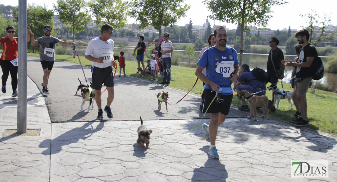 Imágenes de la Corredog 2018 II