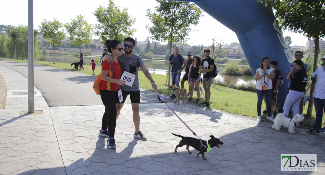 Imágenes de la Corredog 2018 II