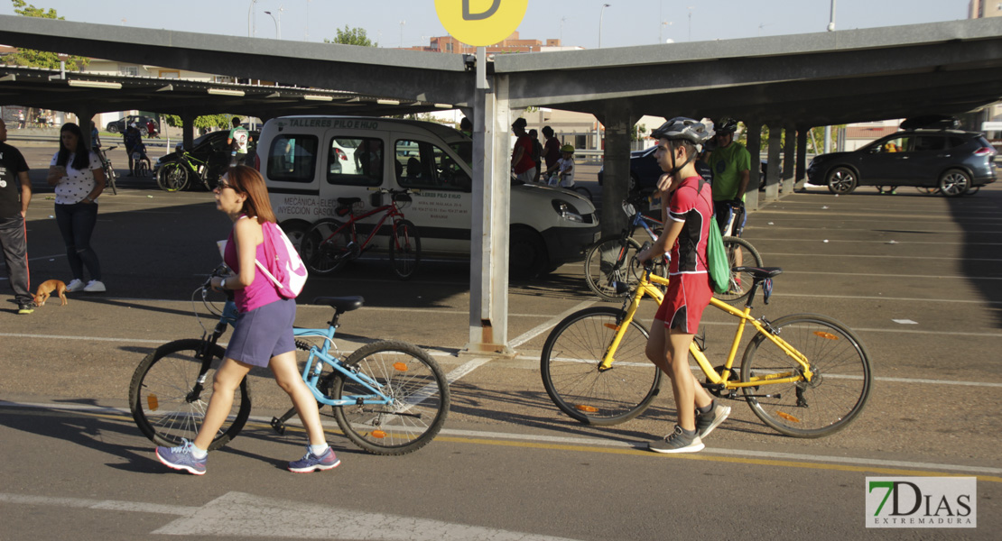 Imágenes de la XXXIII Día de la Bicicleta I