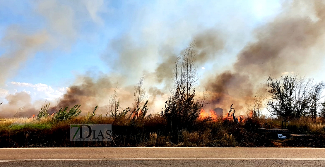 Incendio entre Gévora y Sagrajas (BA)